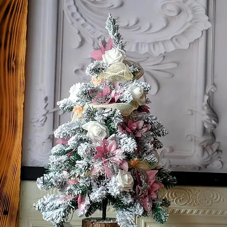 Le Ptit Cocon * Font-Romeu-Odeillo-Via